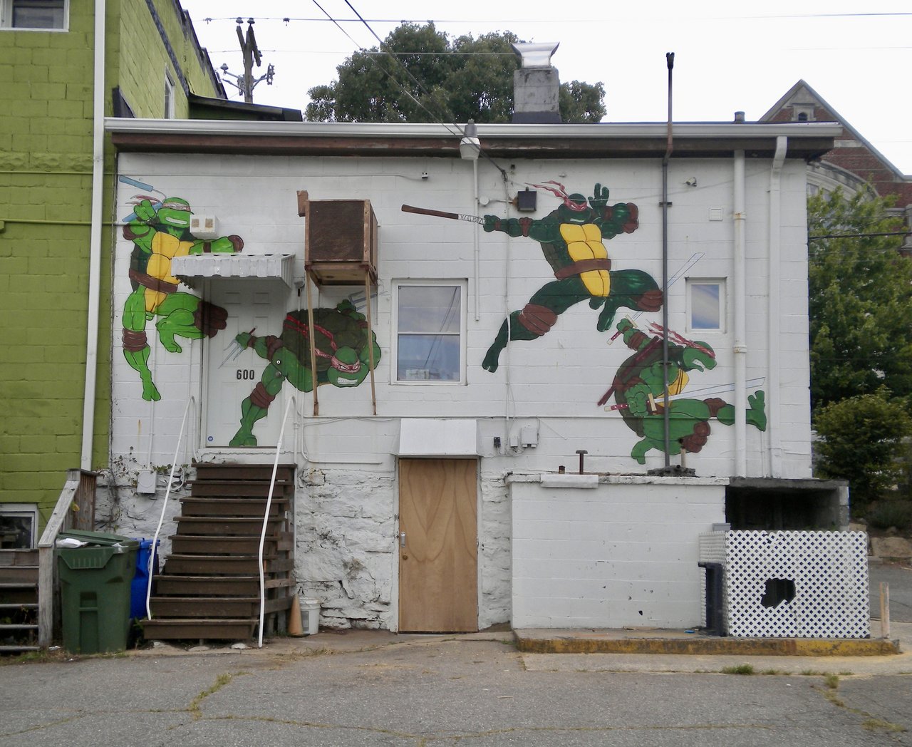 Turtles in a half-shell